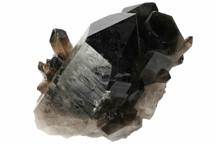 Dark Smoky Quartz Crystal Cluster - Brazil #104095